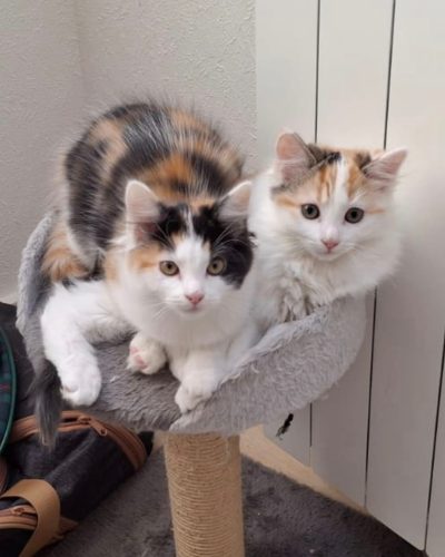 PHOTO-2026-01-15-11-10-35 3