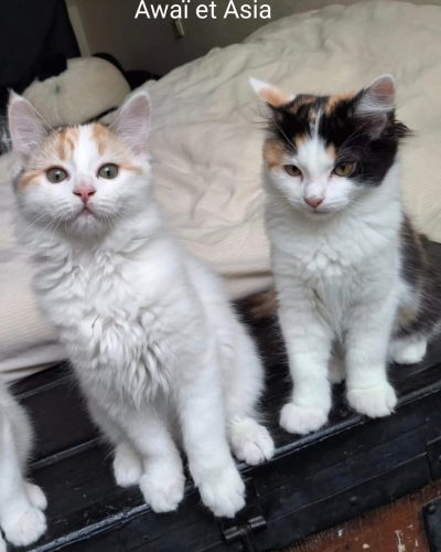 PHOTO-2026-01-15-11-10-35