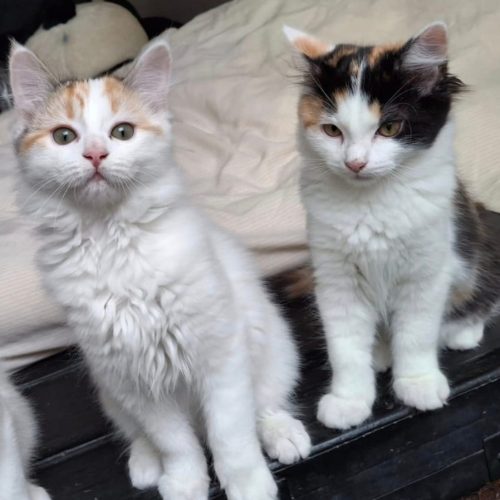 PHOTO-2026-01-15-11-10-35