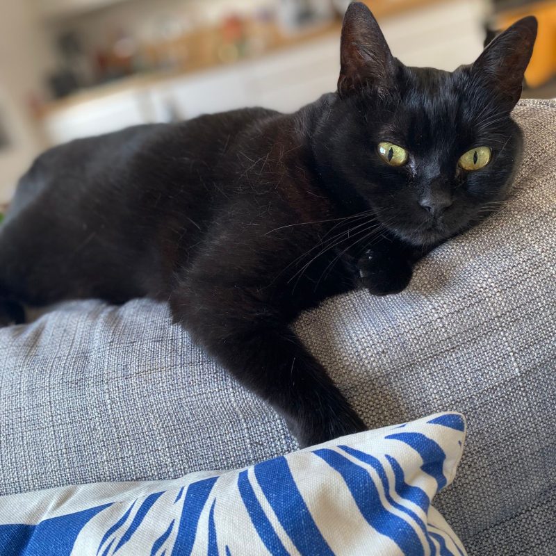 Minnie